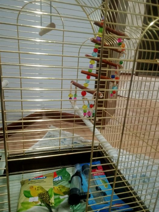 Клетка для папугая