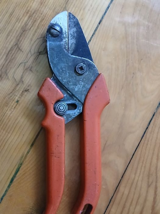 Лозарски ножици Намаление