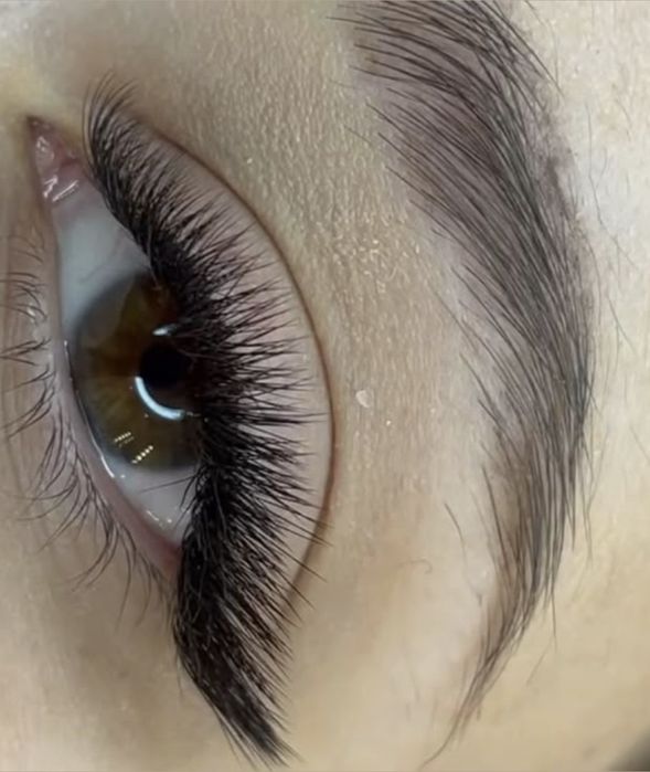 # Extensii GENE 1D-2D-3D # Hollywood # Cursuri # Acreditate #