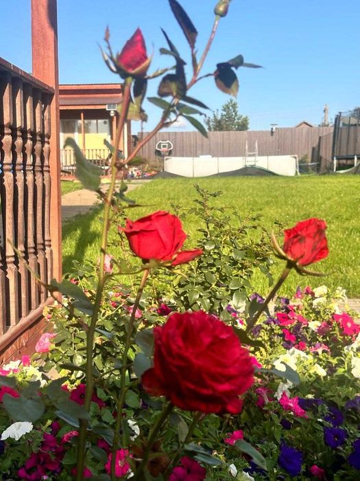 Продам дачу. С/Т Вишенка