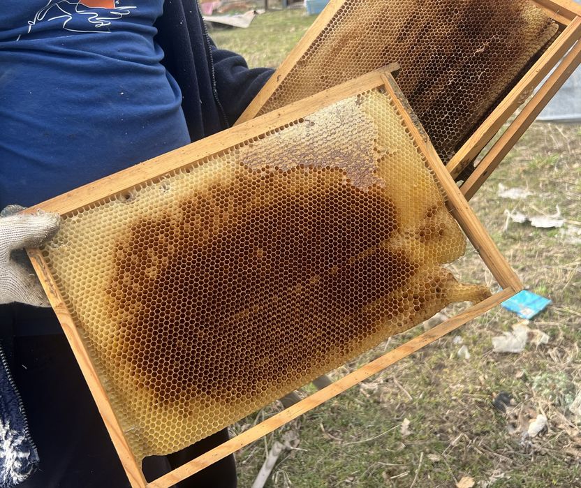 Рамки сушь для пчел