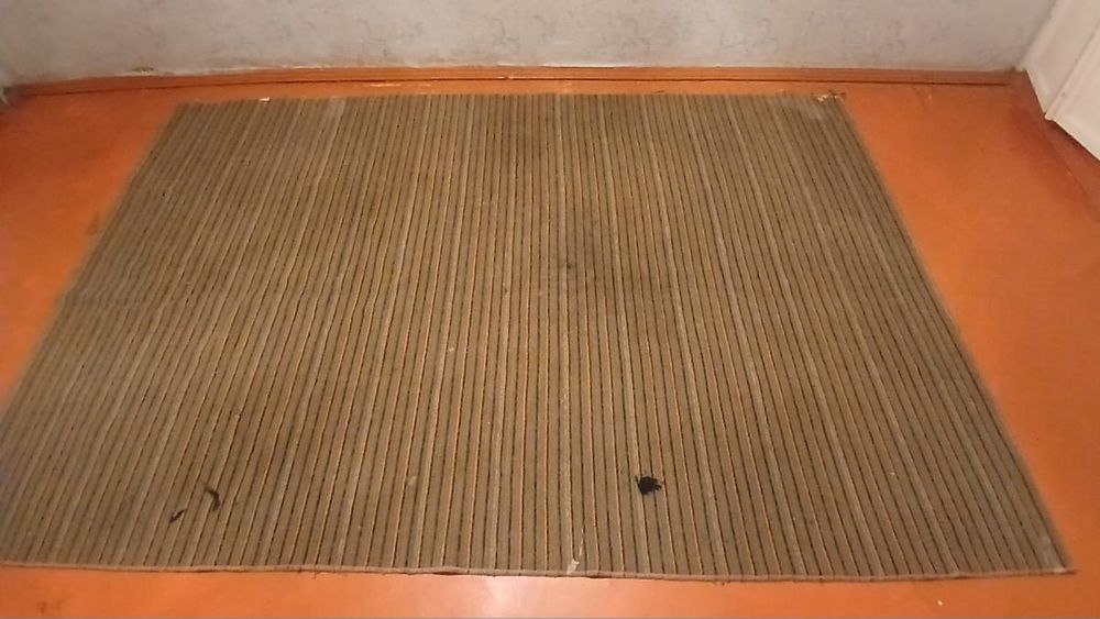 Палас  2000 тенге