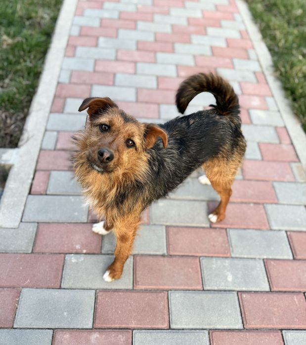 Девочка Евочка ищет любящую семью