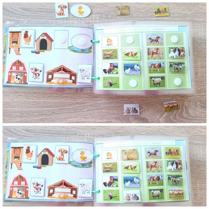 Книжка-игра "В царството на животните"