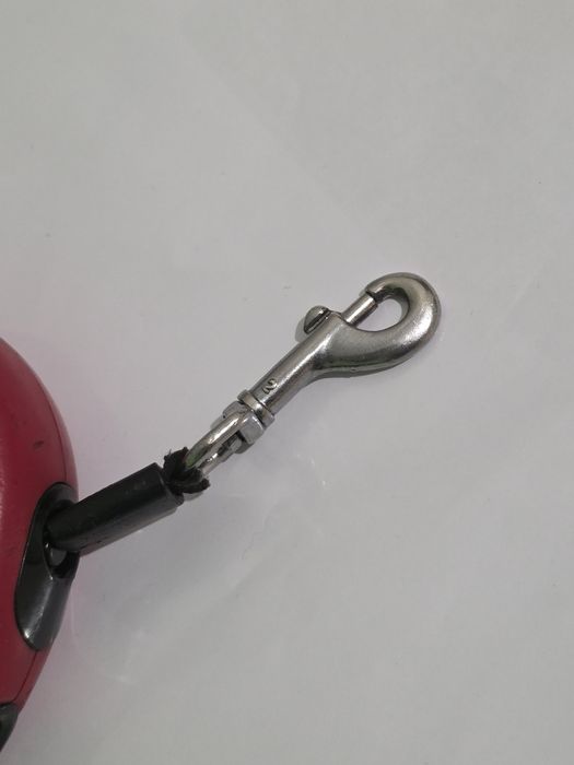 Повод за домашен любимец