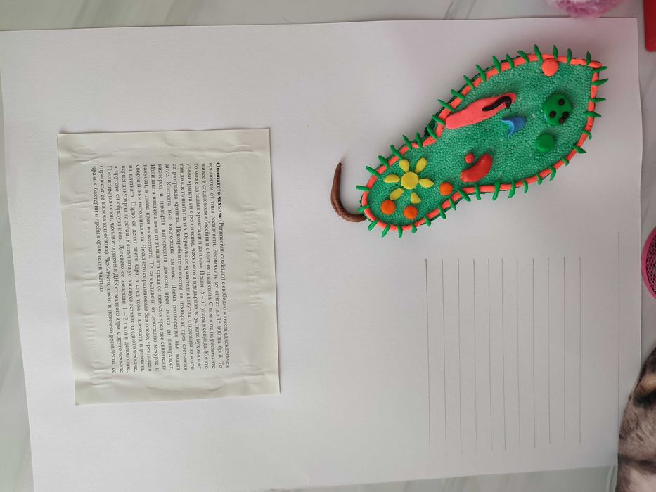 Проект за Левски