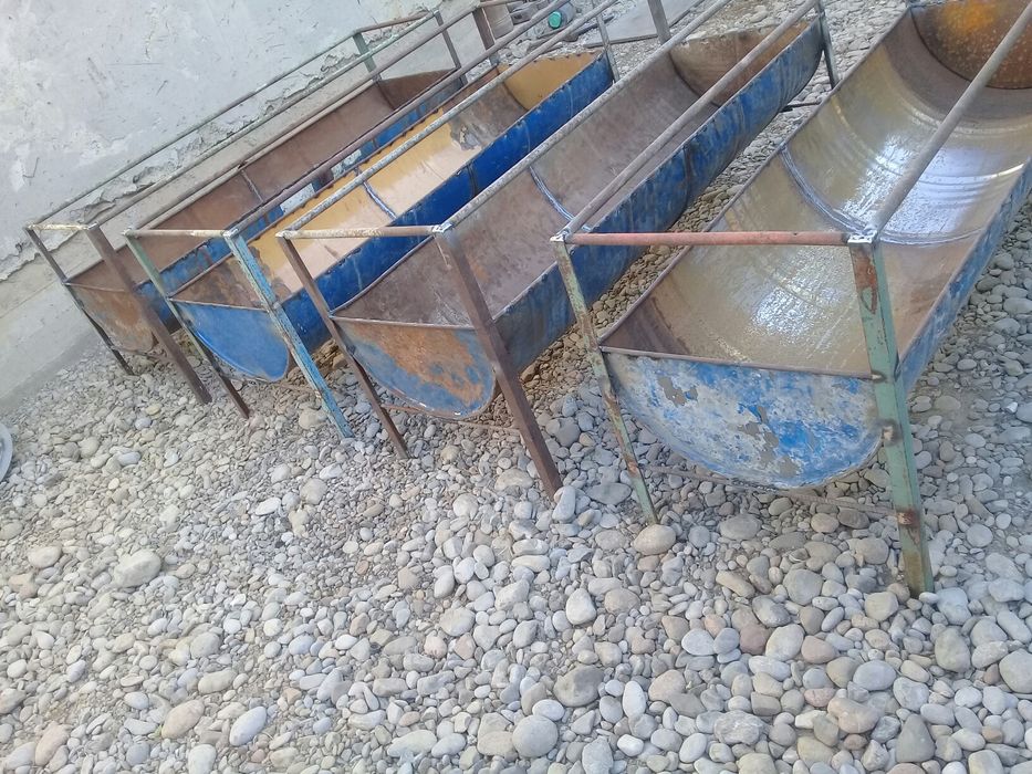 ақыр кормушка  бочкадан  су құюғада  бар.