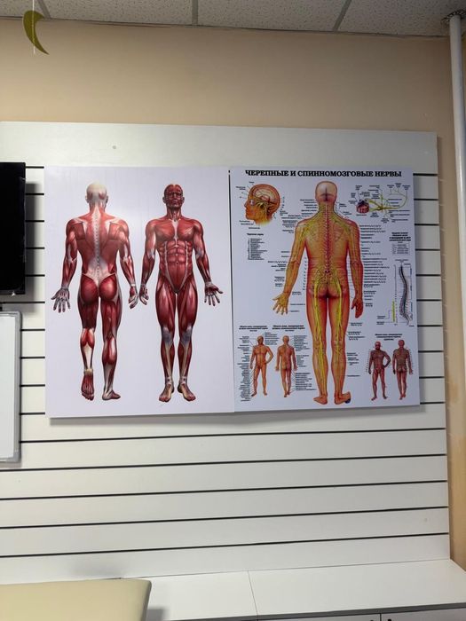 Гидромассажная ванна