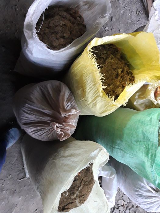 Куриный навоз отдам даром бесплатно