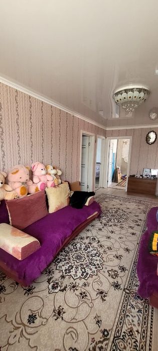 Продам дом в селе Мичурина