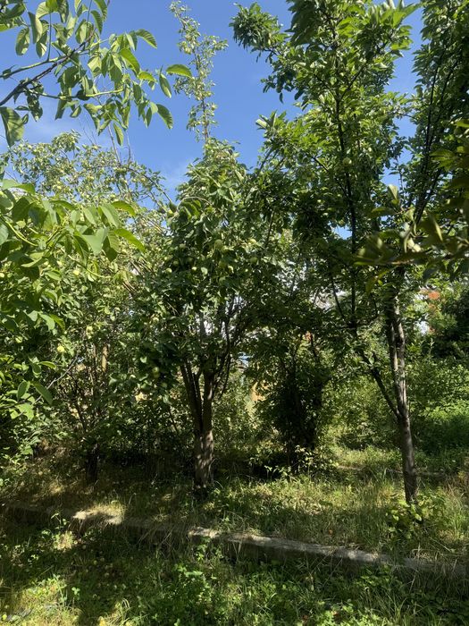 Продается дача  в Иссыке