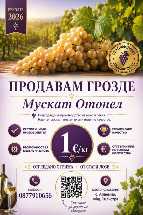 Продавам грозде Мускат Отонел