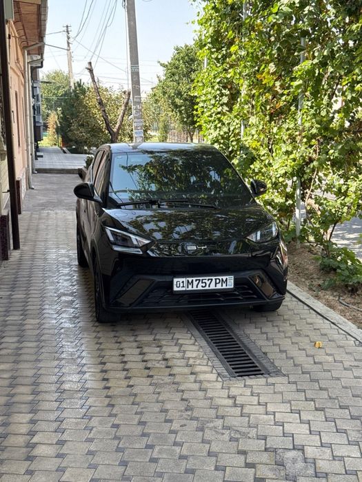 Byd seagull 2024