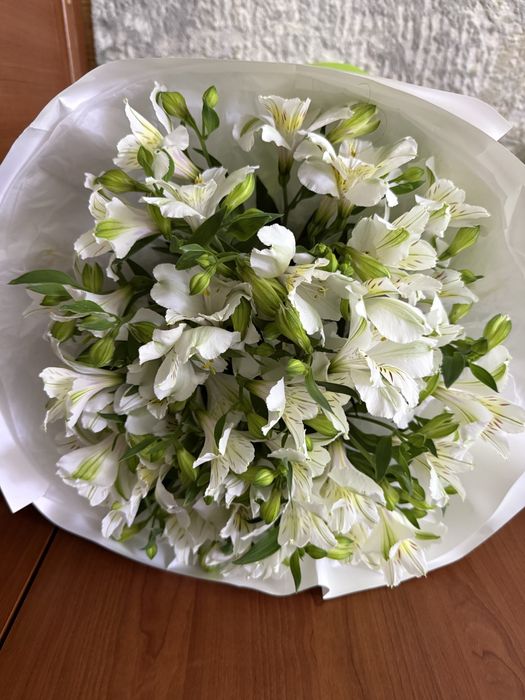 продам цветы свежие