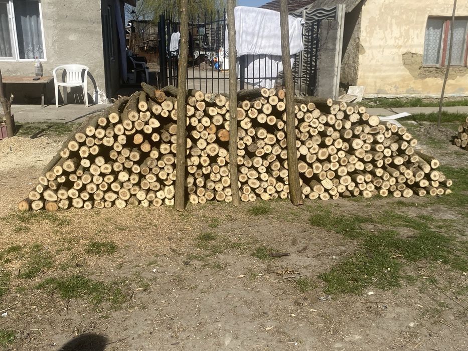 Pari sau stalpi de gard electric