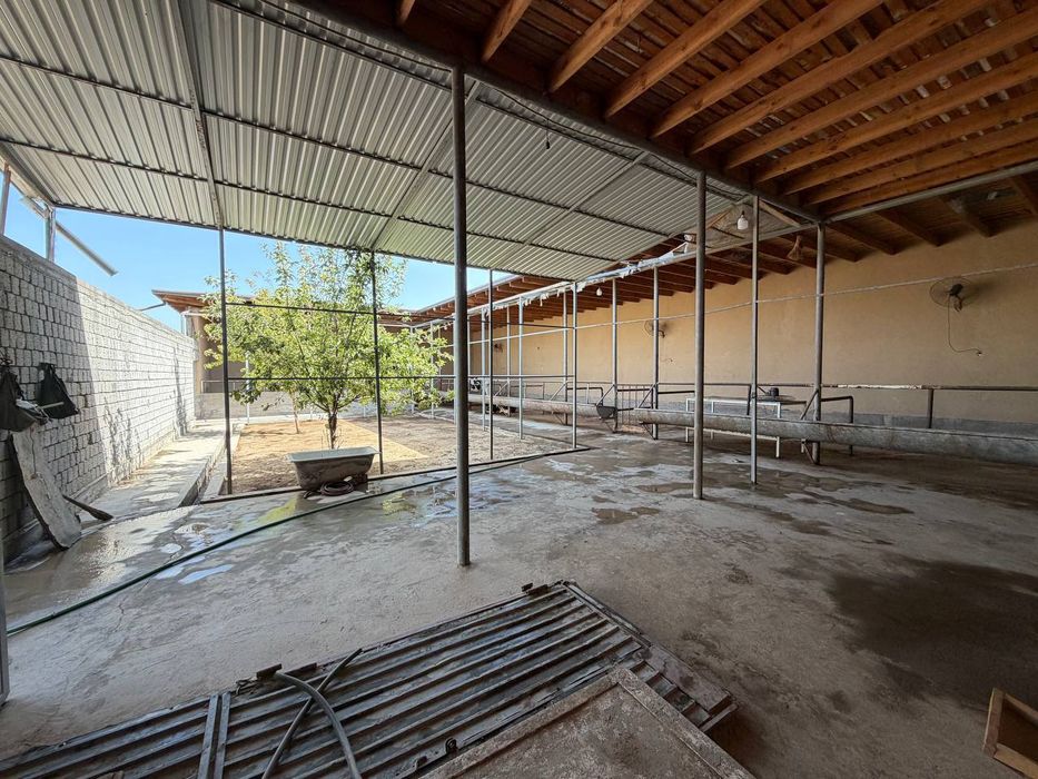 Ferma arendaga beriladi