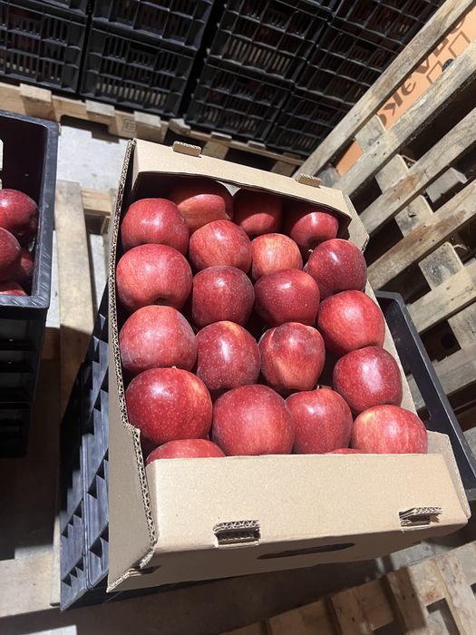 Продам яблоки   ( Американка )  1-2 сорт.