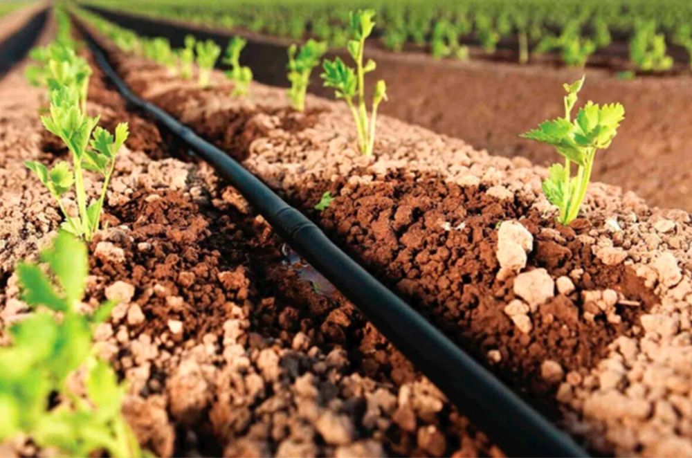 капелный монтаж установка