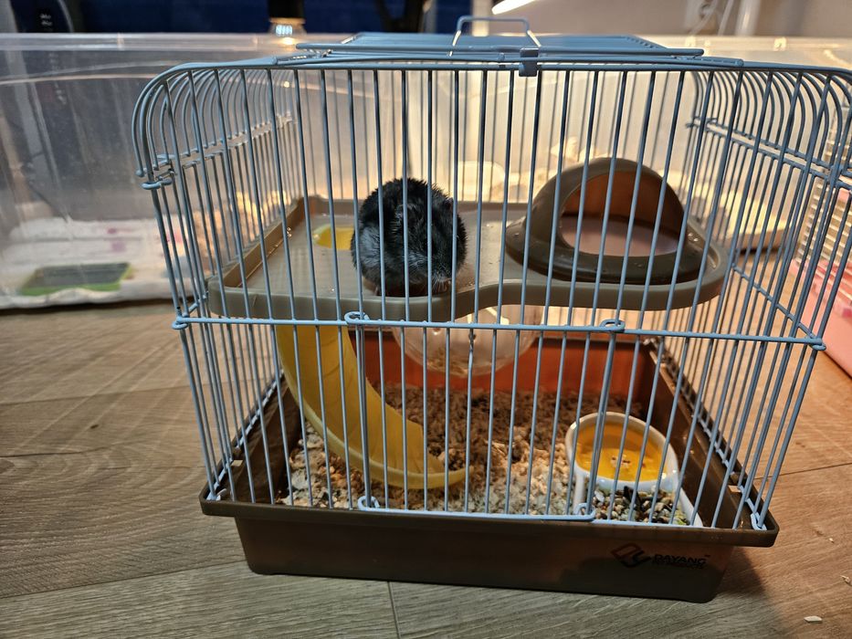 Продаю клетку с хомяком