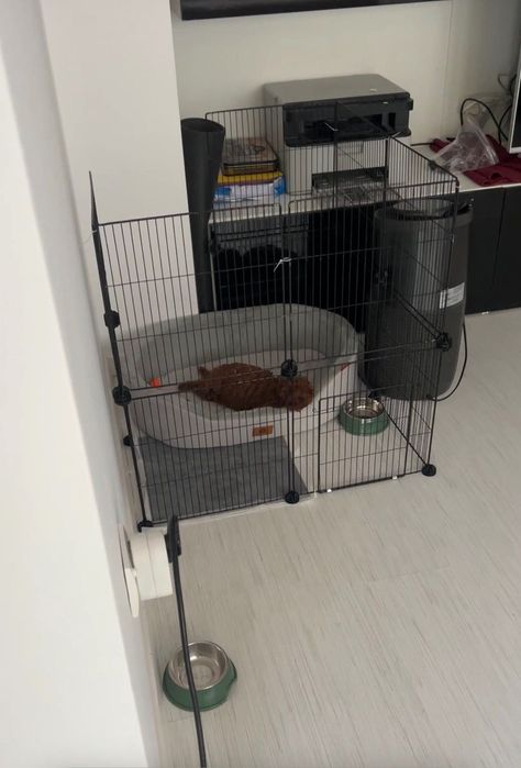 Ограждение клетка за домашен любимец куче котка