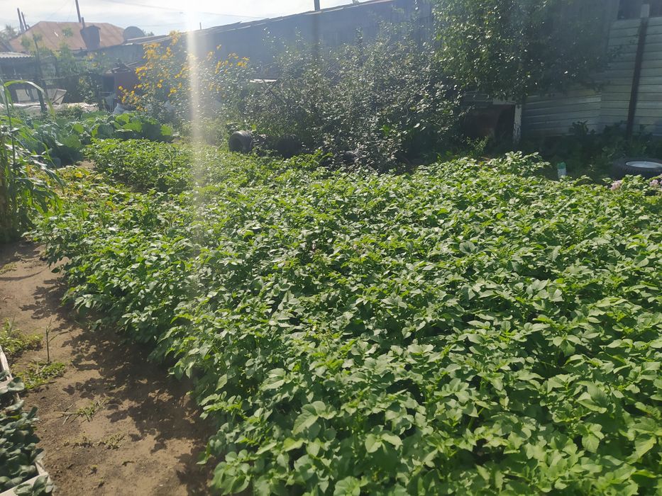 продам  продам дом