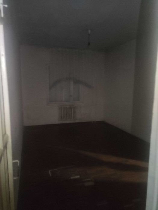 Аренад массив куйлюк 4