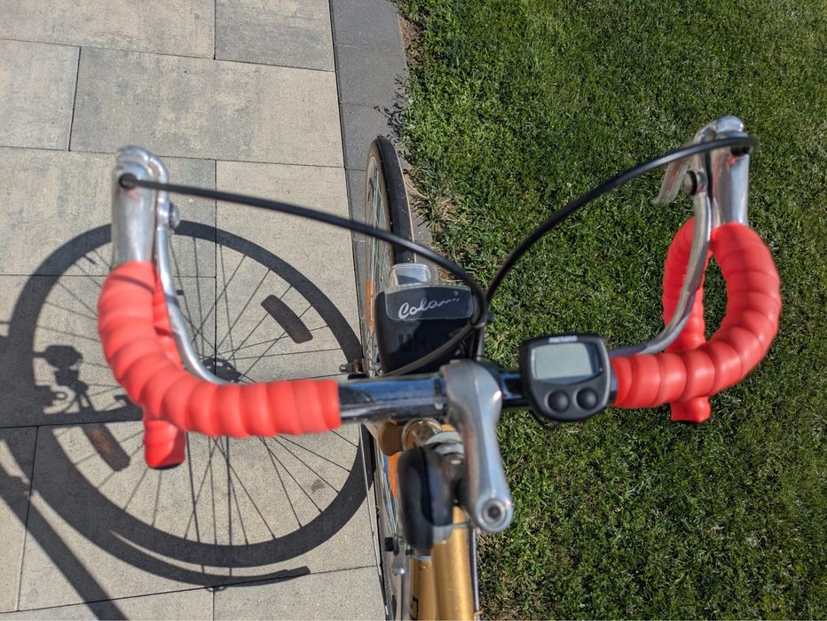 Bicicleta Semicursiera Steiger