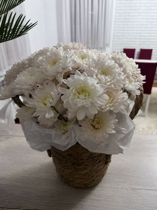 Цветы хризантемы.