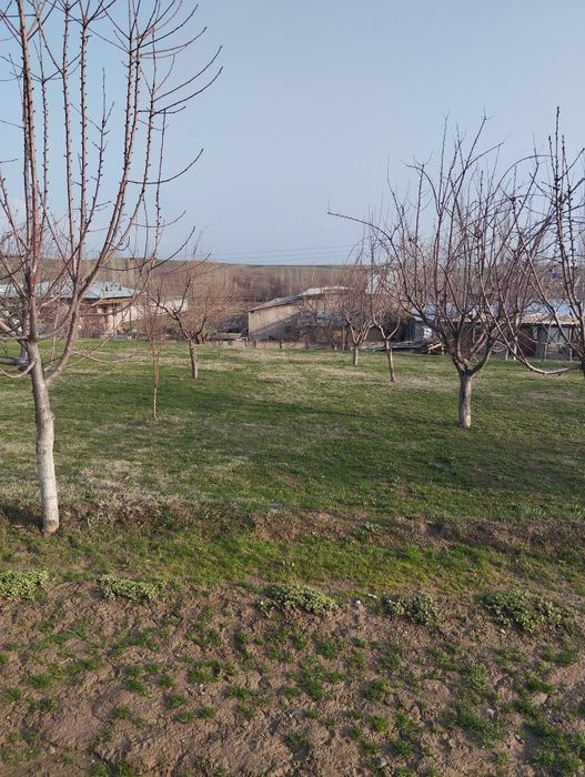 Тошкент вилояти Юкори Чирчик тумани Кавардон кишлоги Хамжихат кучаси