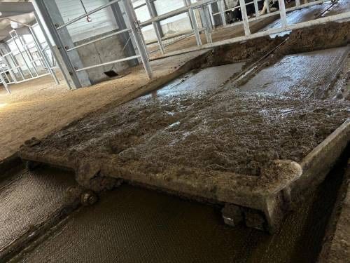 Дельта скрепер ( Оборудование для удаление навоза) Гўнг суриш ускунаси