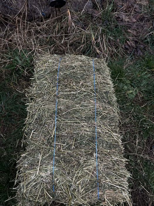 Baloti de lucernă,,,si otava