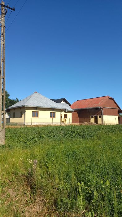 Casă de vânzare Arbore