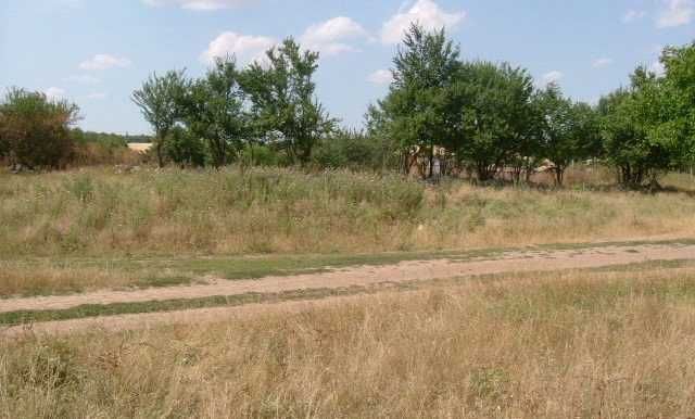 Голям парцел в Бдинци