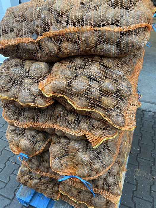 Cartofi consum alb 50 tone calibru 55+