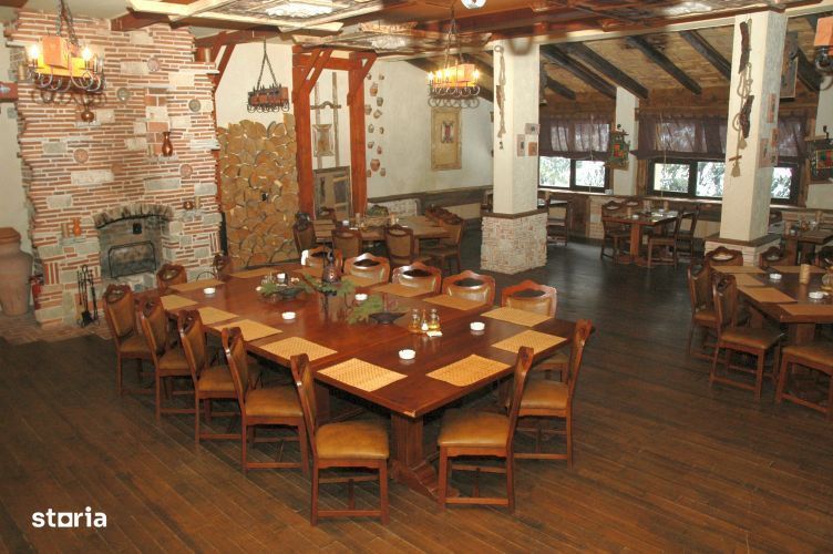 Proprietate HoReCa, 300 mp, zona Central