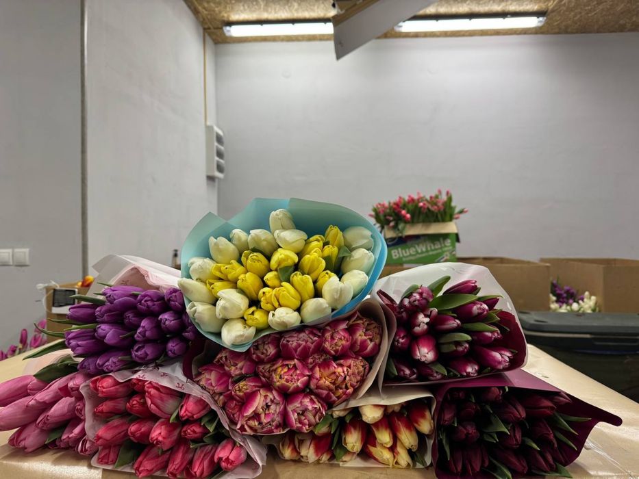 Тюльпаны Петропавловск