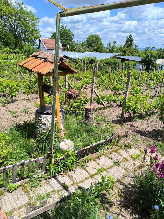 Продавам Вила в гр. Шумен местност ,,Под Манастира"