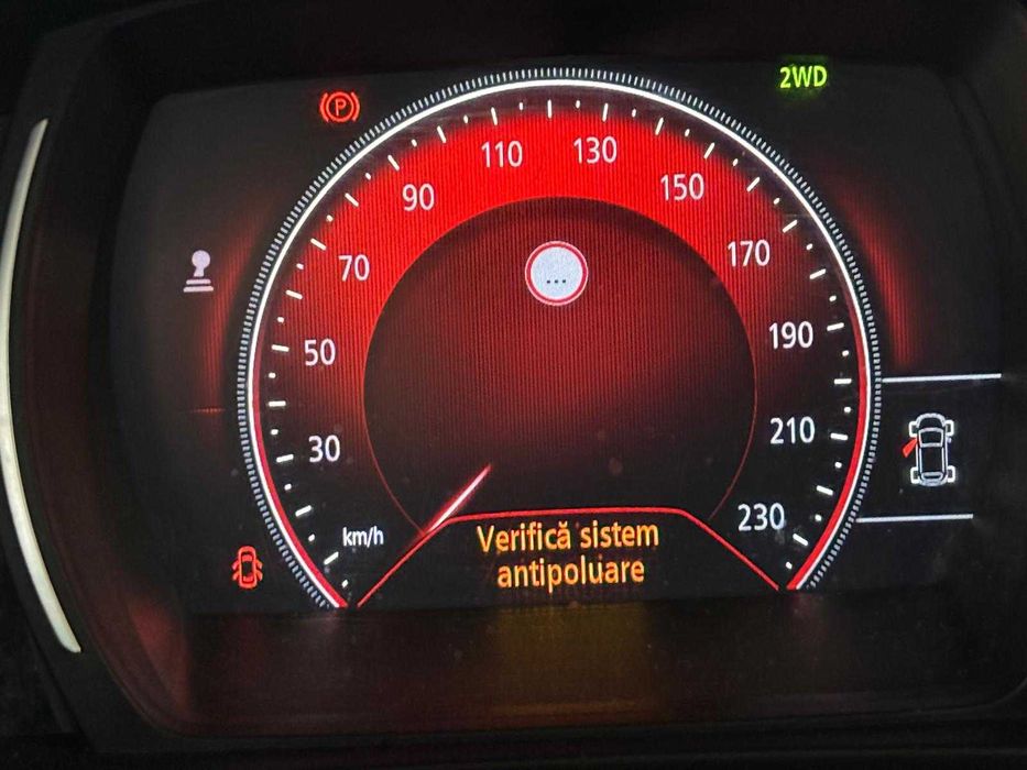 Curățare & Regenerare Filtru de Particule (DPF), Diagnoză profesională