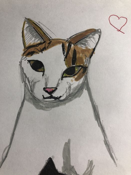 нарисую вашего питомца