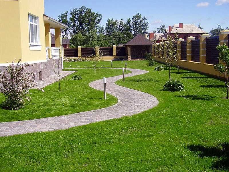 БЕЗ СОРНЯКОВ Идеальный густой готовый рулонный газон с плотной дерном