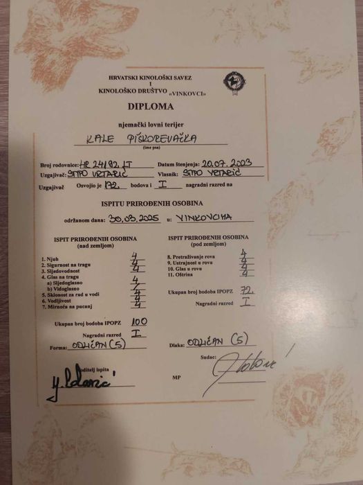 Немски ловен териер - чистокръвно