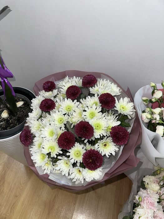 продам цветы.