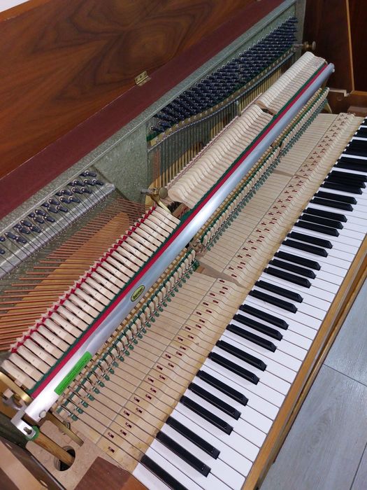 Pianina Malmsjo ( mecanică Renner, transport gratuit)