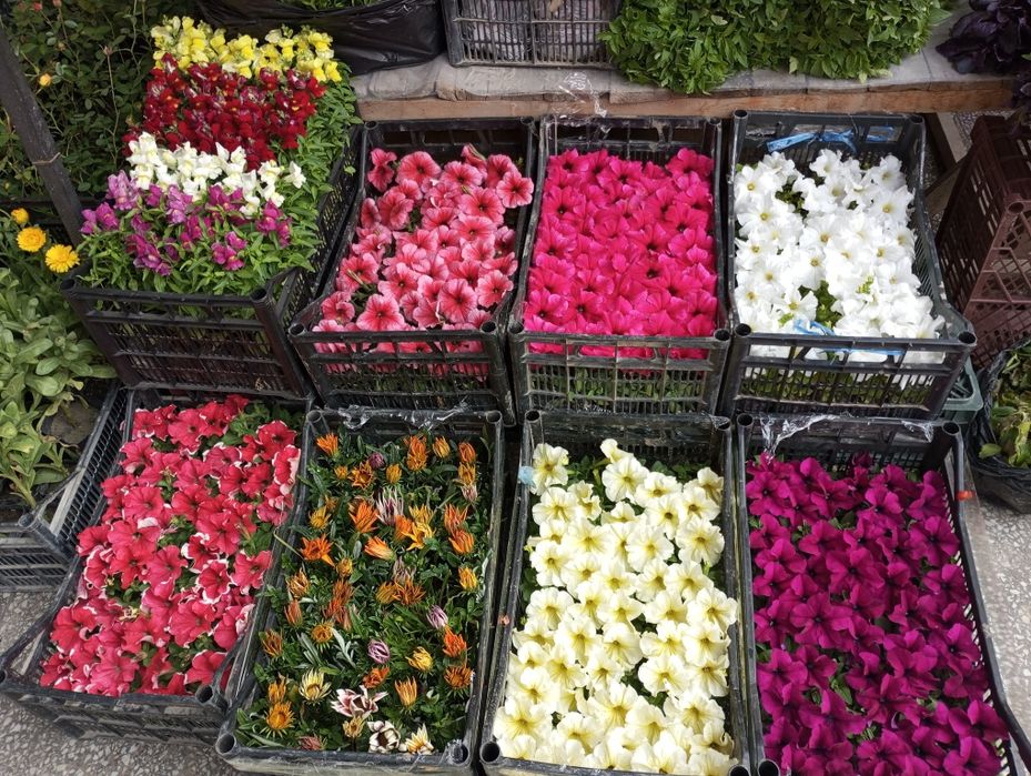 ландшафт дизайн хизмати