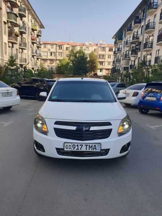 Cobolt 2024 Tozza