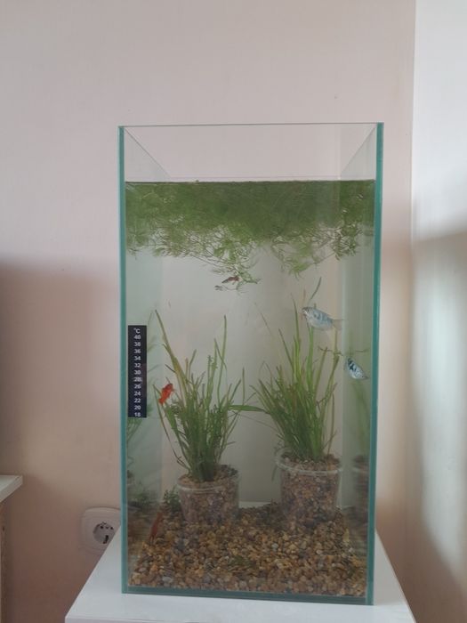 Продам новый аквариум