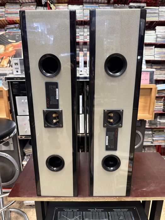 CAV Audio FI-C22 Полочная АС