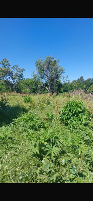 Продава се Парцел в с. Горан, Област Ловеч - 1000 кв.м за 12 €/кв.м - Снимка #3