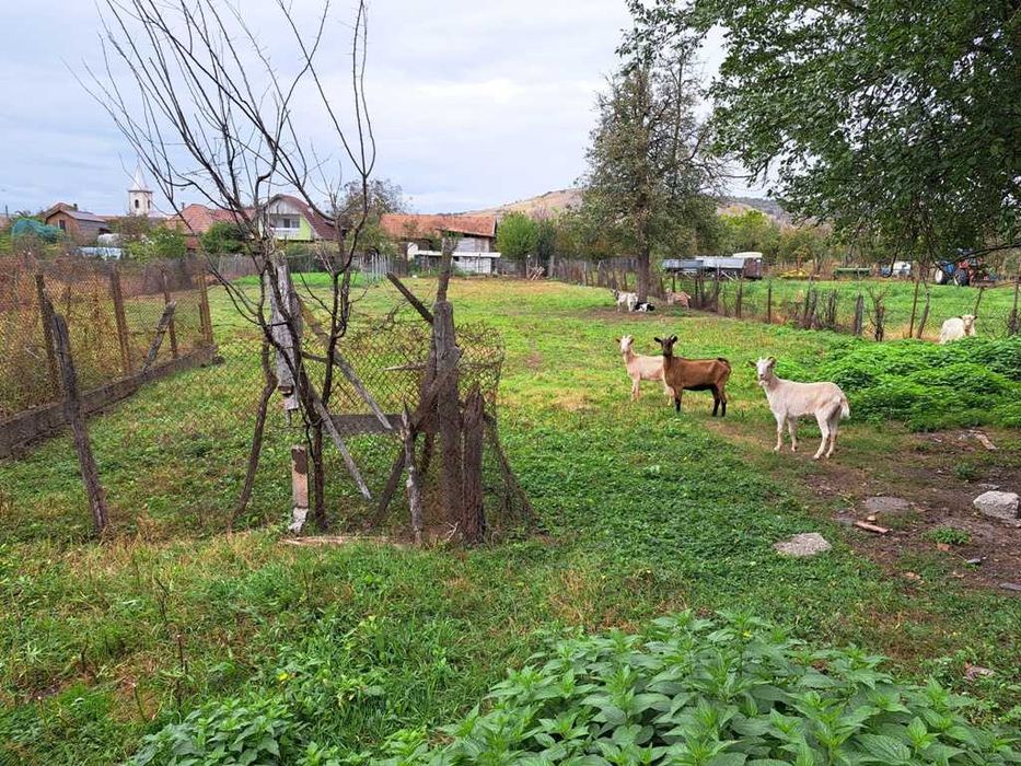 Vand casa Vidrasau, Mures