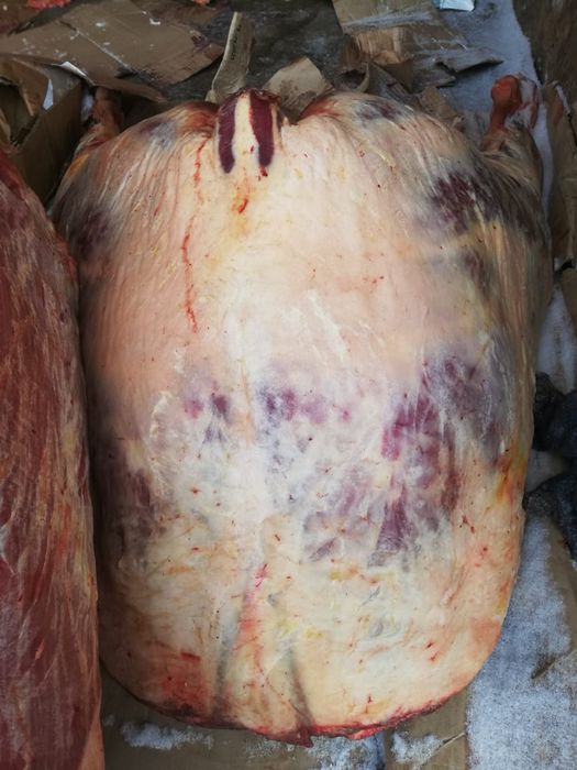 Соғым байталдар сатылады